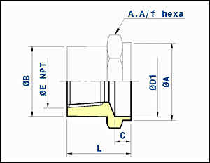 straight connector - socket welding or capillary ends x female thread